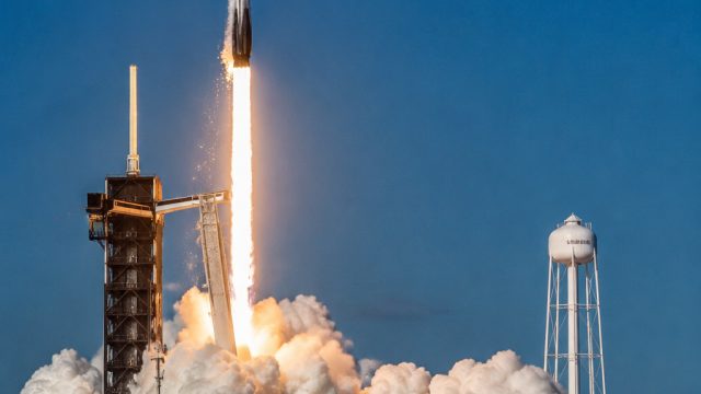 SpaceX Stock Gains Momentum After Recent Setbacks | mpo088, bets365, main slot akun demo