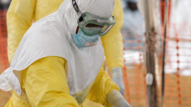Ebola Outbreak in Congo: Alarming Surge in Initial Cases | kode alam erek erek kutu rambut 2d, kamer