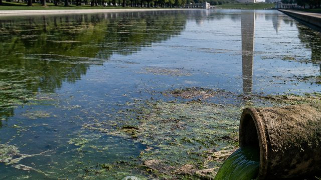 The Hidden Environmental Crisis Behind Trump's Reflecting Pool Controversy